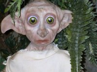 photos 2000-200902293